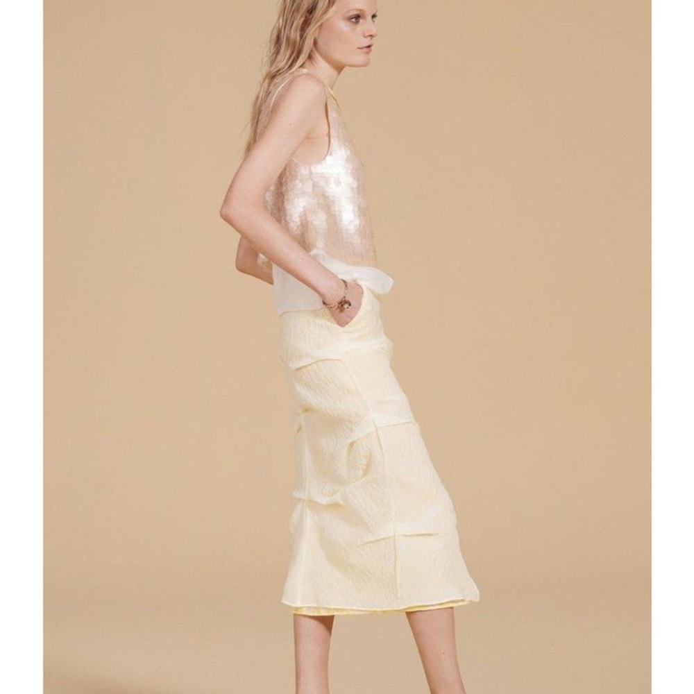 Elegant Limited Edition Zara Skirt